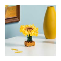 Plus-Plus Inspired, Van Gogh