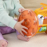Fisher Price Pets Crawl & Play Speil