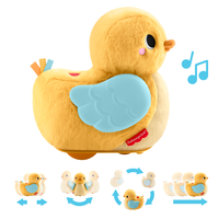 Fisher-Price 4-i-1 Kram og Kryp-anden
