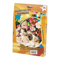 LAC, Male etter nummer Katt