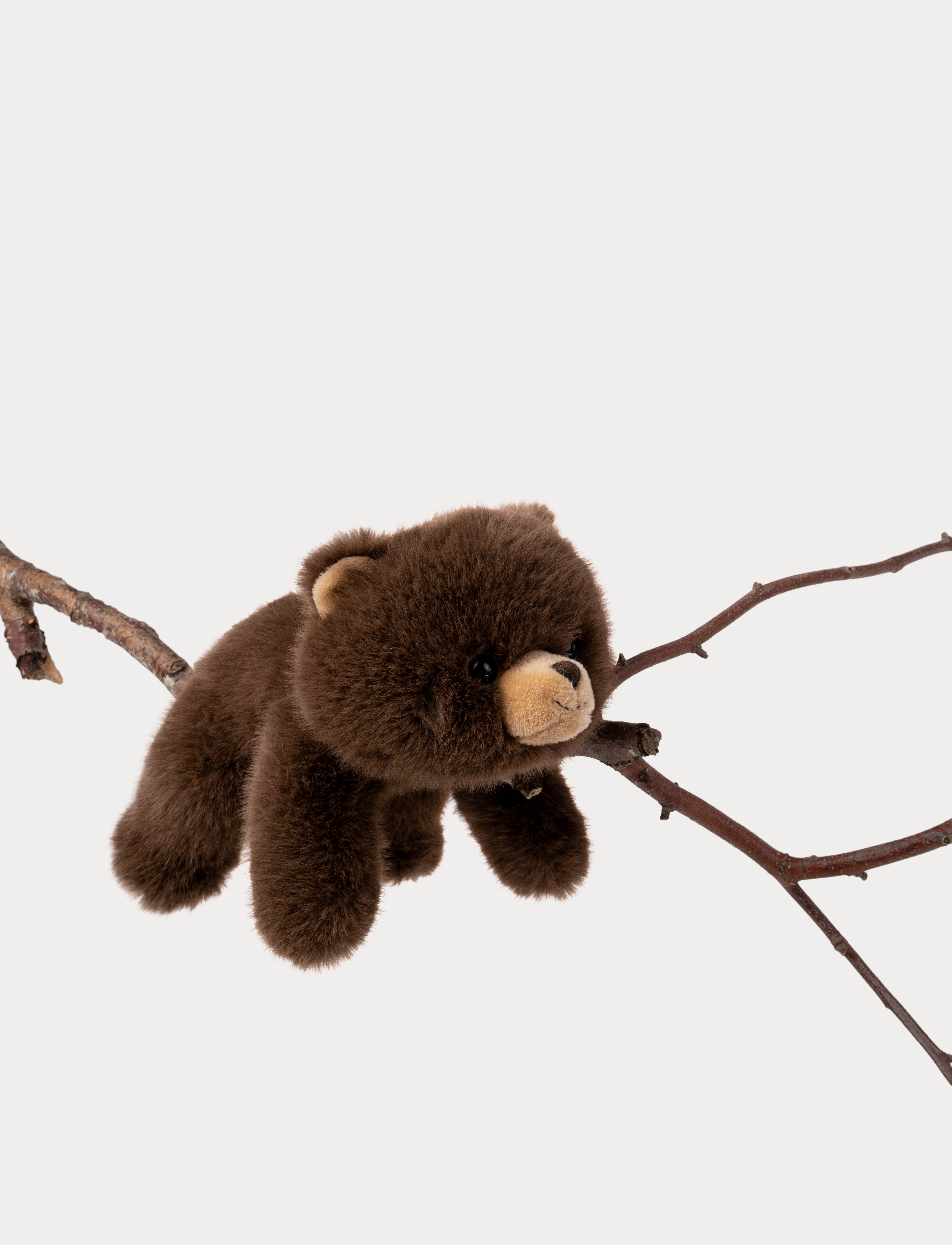 Teddykompaniet - Liggende Bjørn Brun