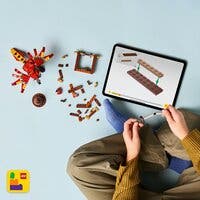 LEGO Harry Potter 76448, Fawkes™: Dumbledores Føniksfugl