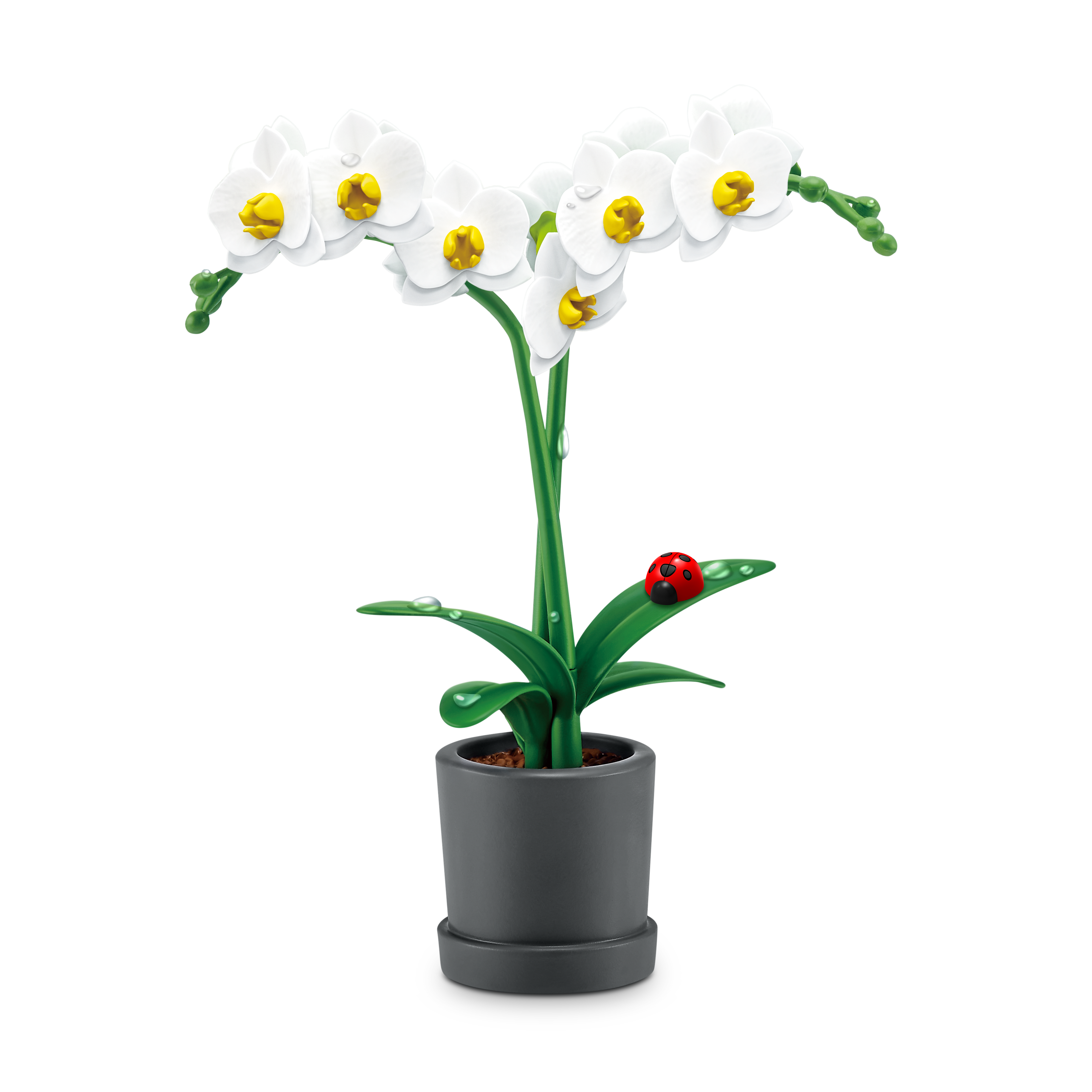 Mini Brands, Botanisk Hage S1