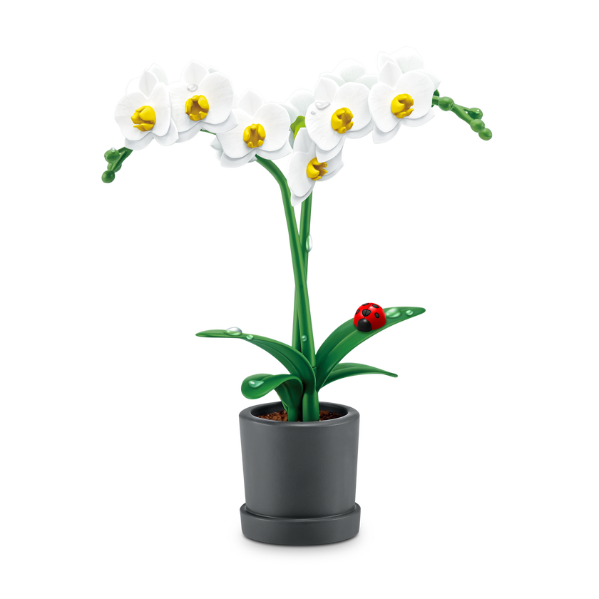 Mini Brands, Botanisk Hage S1