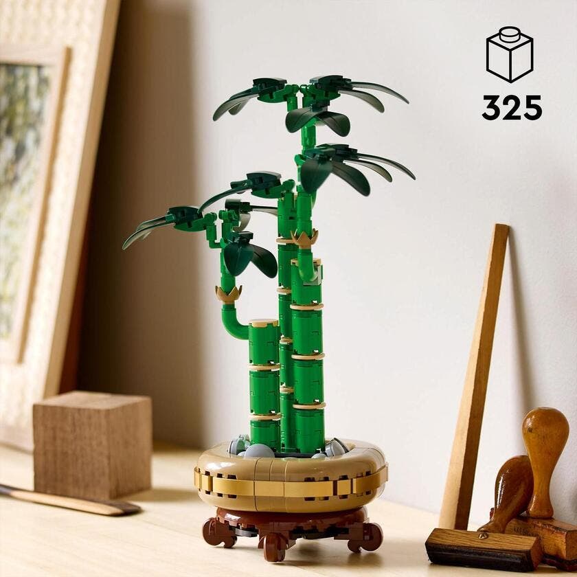 LEGO Botanicals 10344, Bambusdracaena