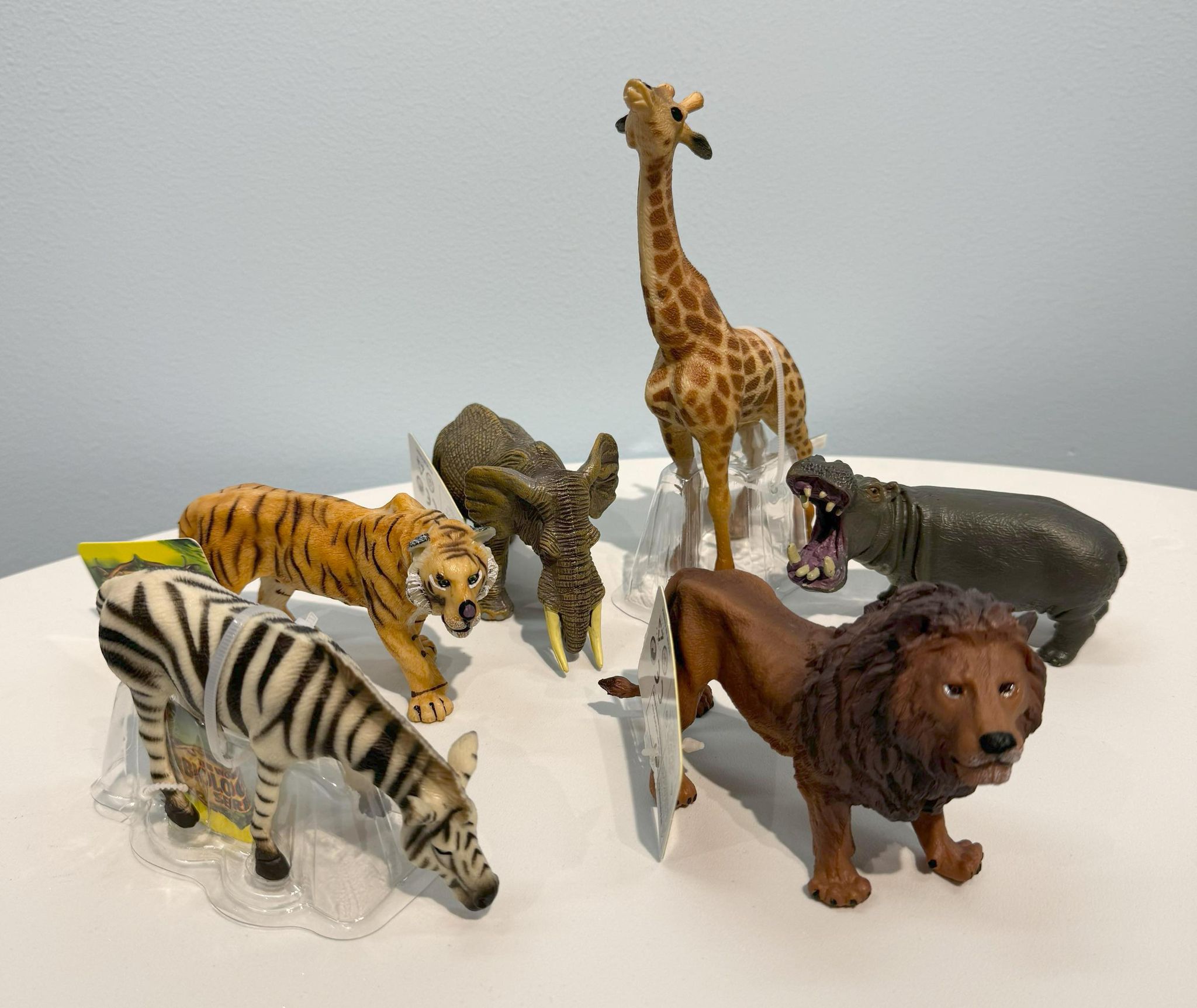 Animal Life, Singeldyr i display Ville dyr