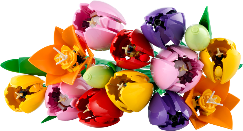 LEGO® Botanicals Bukett med tulipaner 11501