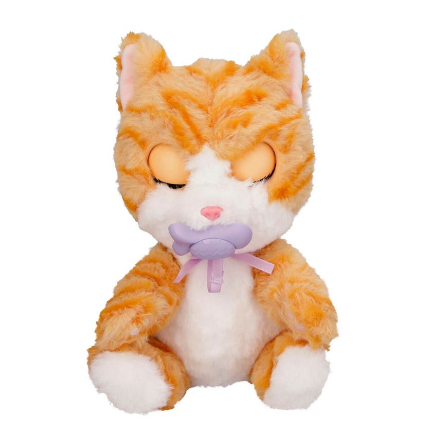 Baby Paws, Katt