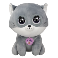 Winksies, koselig kattunge