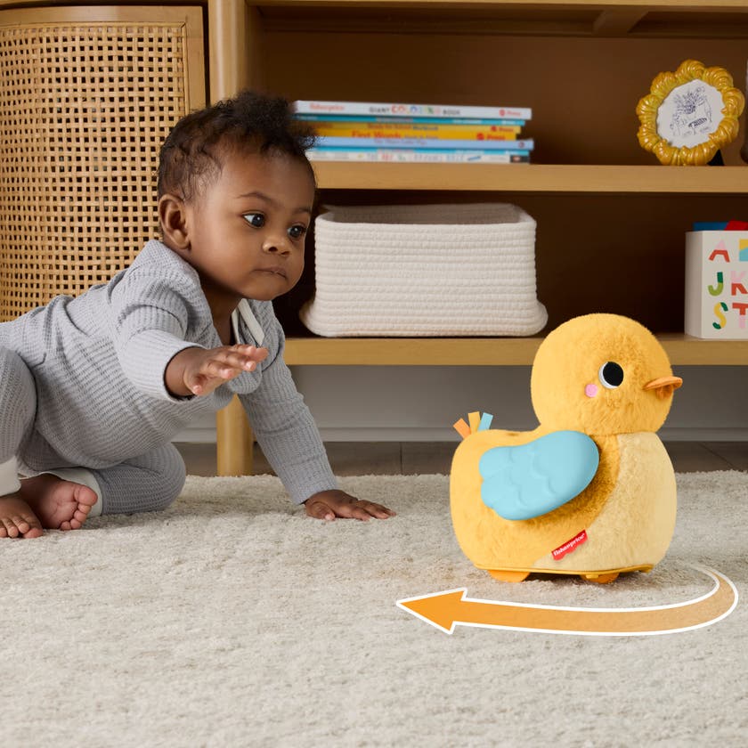 Fisher-Price 4-i-1 Kram og Kryp-anden