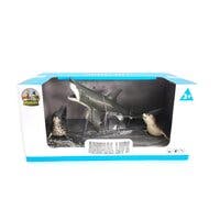 Animal Life, Haier og seler