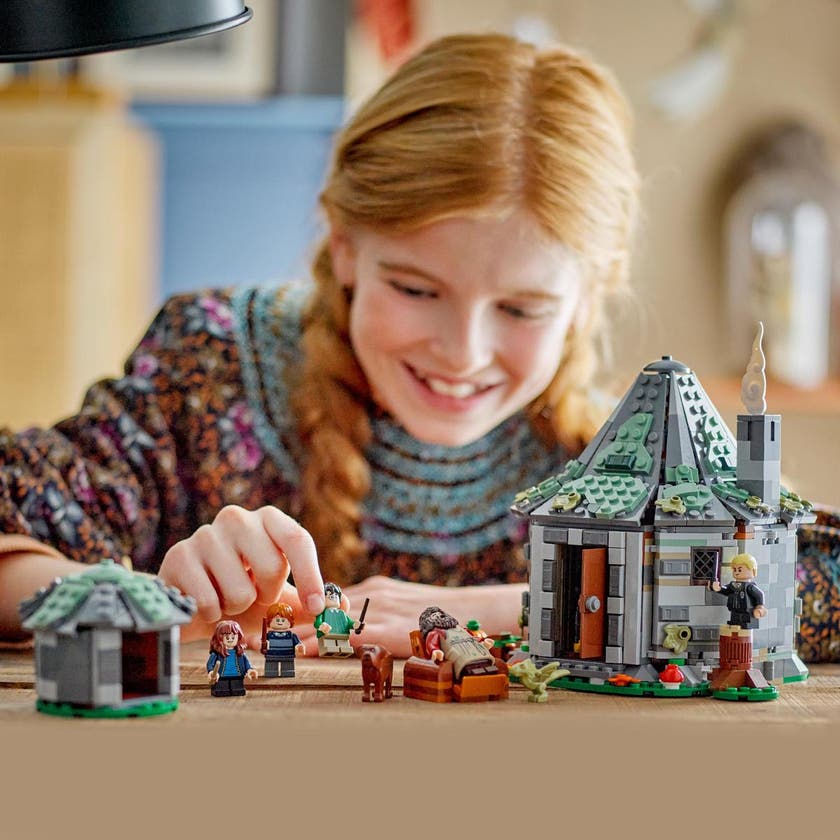 LEGO 76428, Hagrids hytte: Et uventet besøk