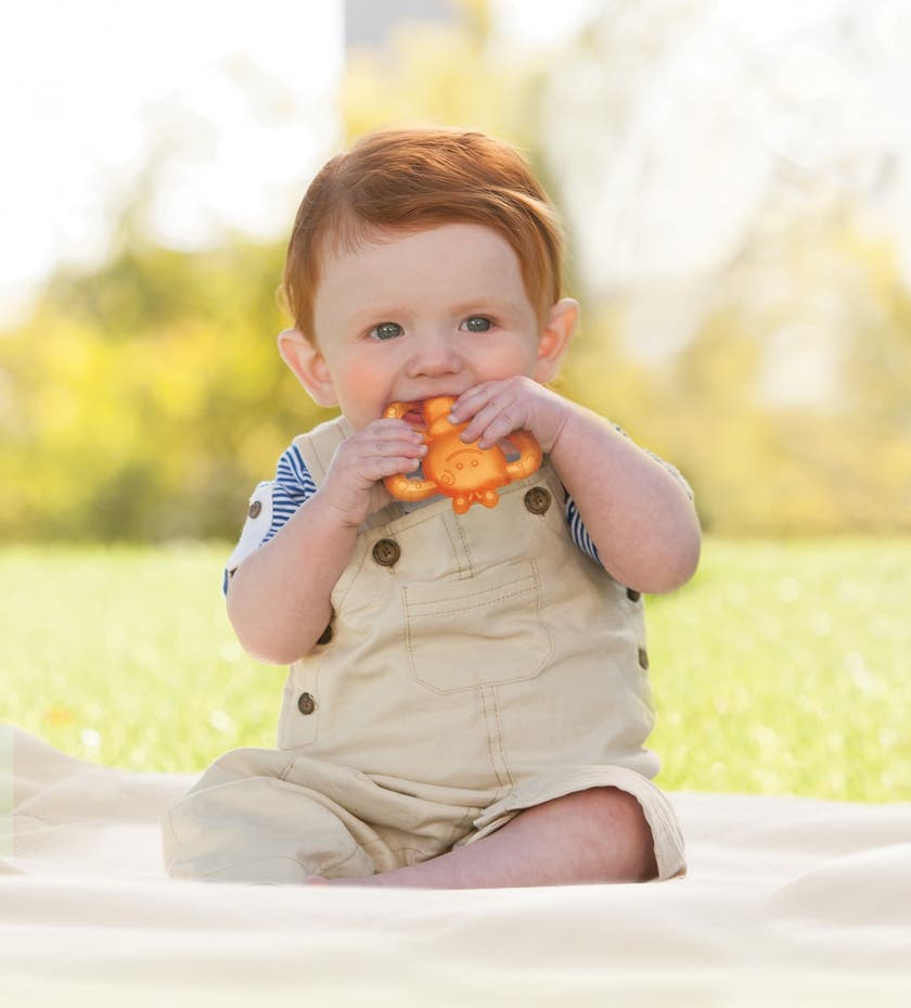 Infantino, Garden Teethings Pals