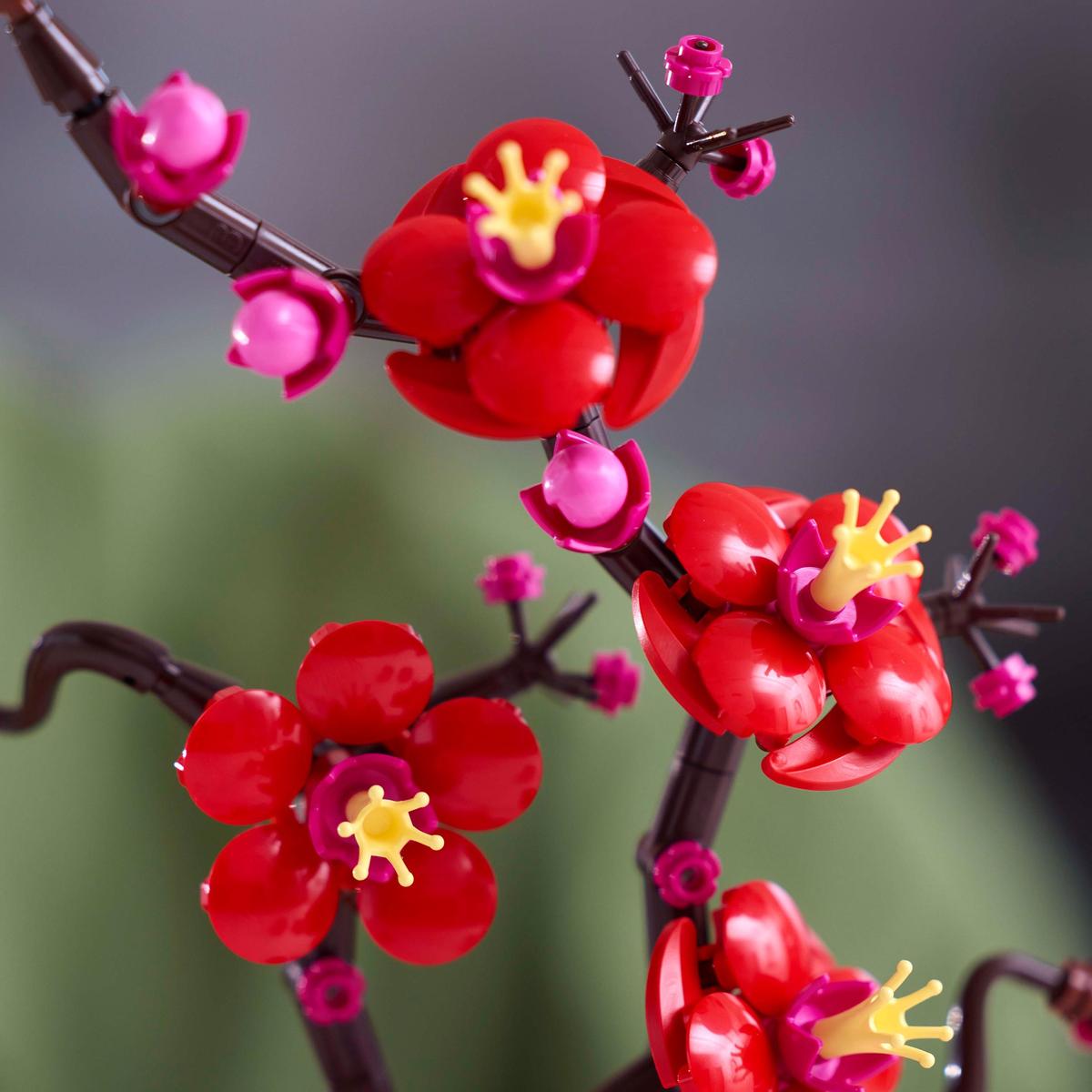 LEGO® Botanicals Plommeblomsten 10369