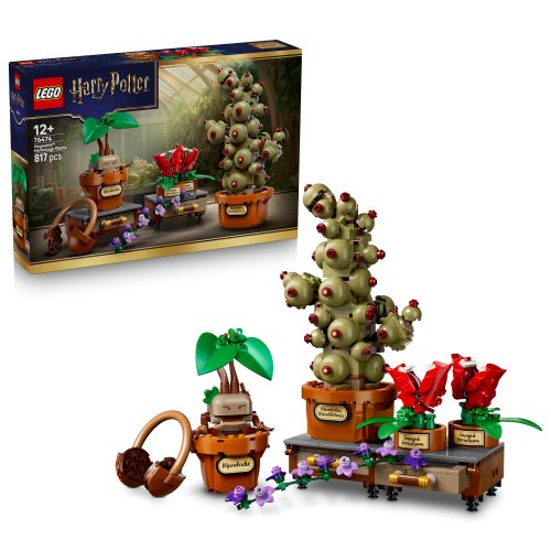 LEGO® Harry Potter™ Urtologiplanter på Galtvort. Byggesett 76474