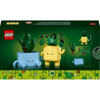 LEGO® Botanicals Fargerike planter 10349