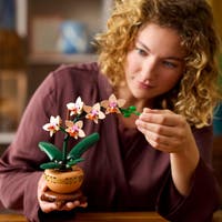 LEGO® Botanicals Miniorkidé 10343