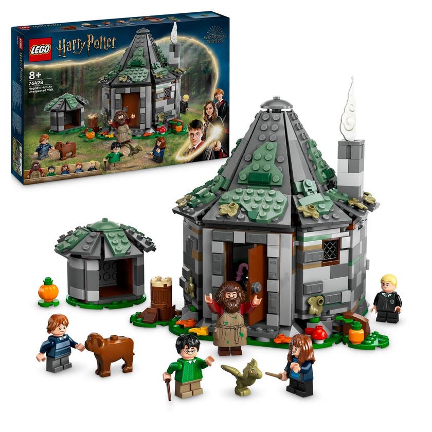 LEGO 76428, Hagrids hytte: Et uventet besøk