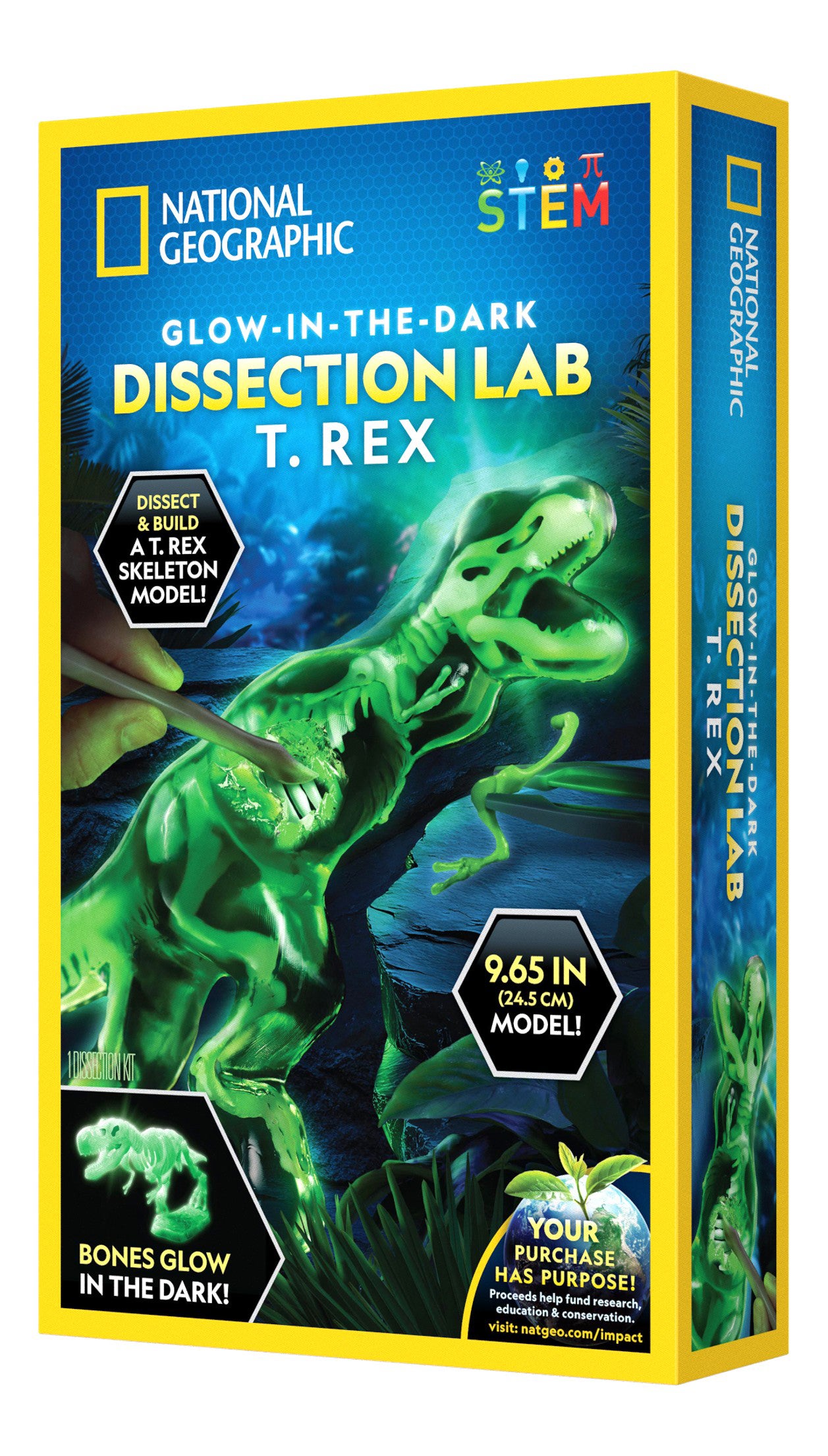 National Geographic Glow-In-The-Dark T. Rex
