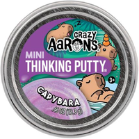 Crazy Aaron Thinking Putty Mini