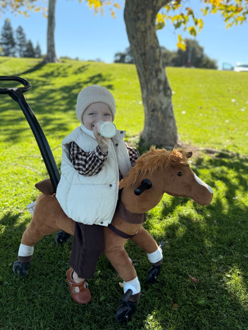 Push Pony Champ