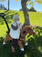 Push Pony Champ