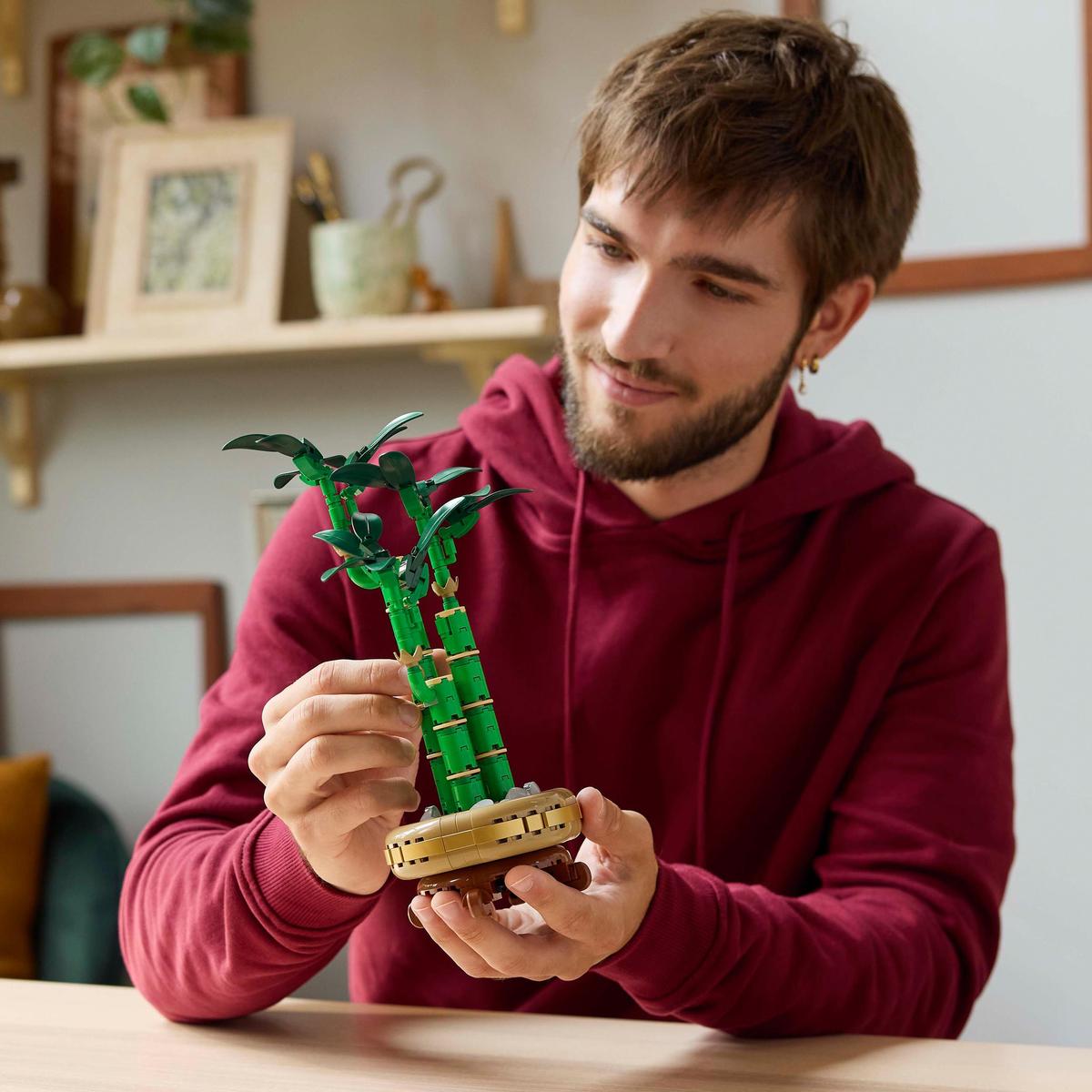 LEGO Botanicals 10344, Bambusdracaena