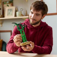 LEGO Botanicals 10344, Bambusdracaena