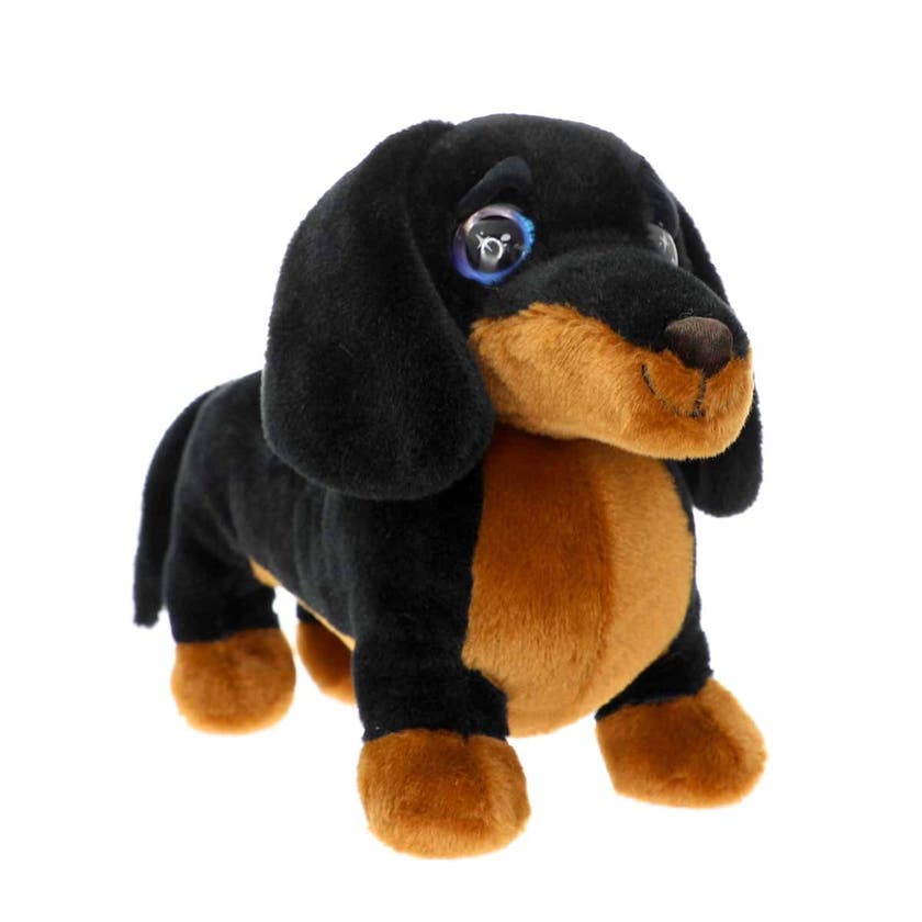 Cutekins, Donna Chichi