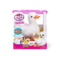 Pets Alive, Mamma og Baby Overraskelse