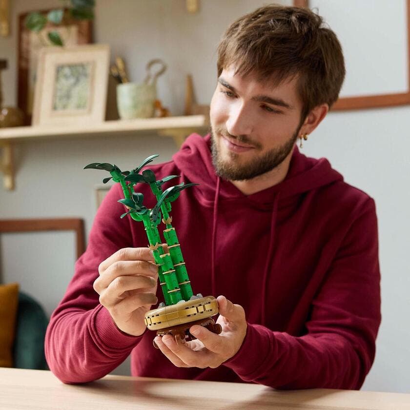 LEGO Botanicals 10344, Bambusdracaena