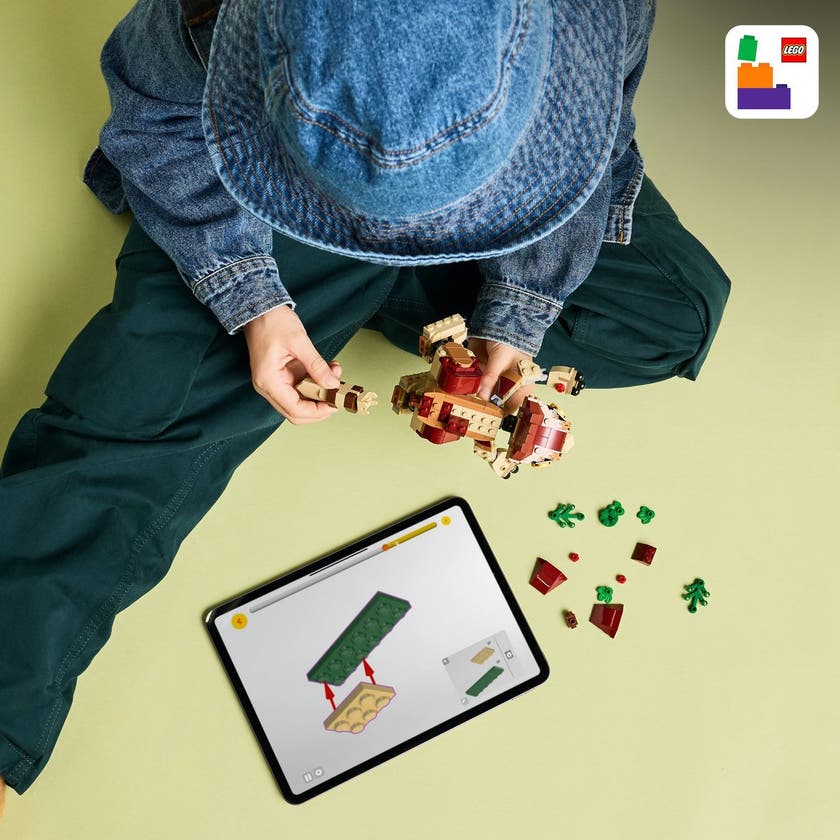 LEGO Jurassic World 76970, Dinosaurunge Dolores: aquilops