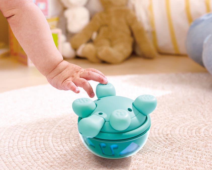Hape Twist & Tune Musical Turtle – musikkskilpadde