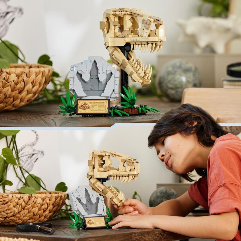 LEGO Jurassic World 76964, Dinosaurfossiler: T. rex-skalle