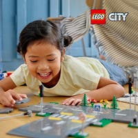 LEGO City Town 60304, Veiplater