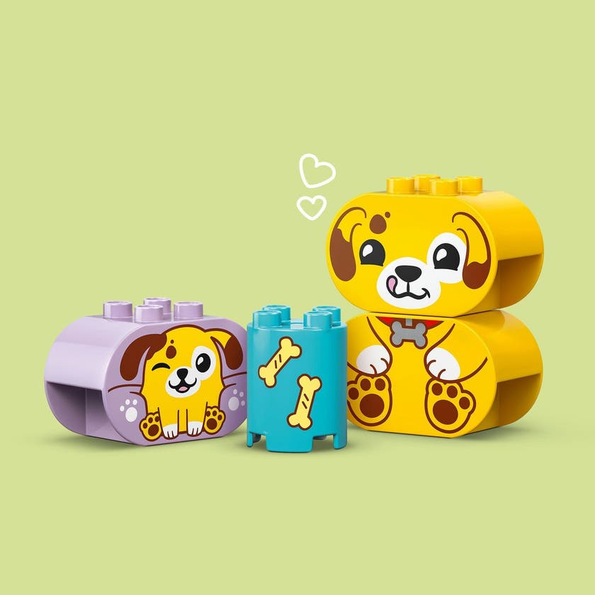 LEGO DUPLO Min Første 10441, Formsorterer: valpehus