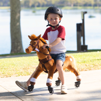 Push Pony Champ