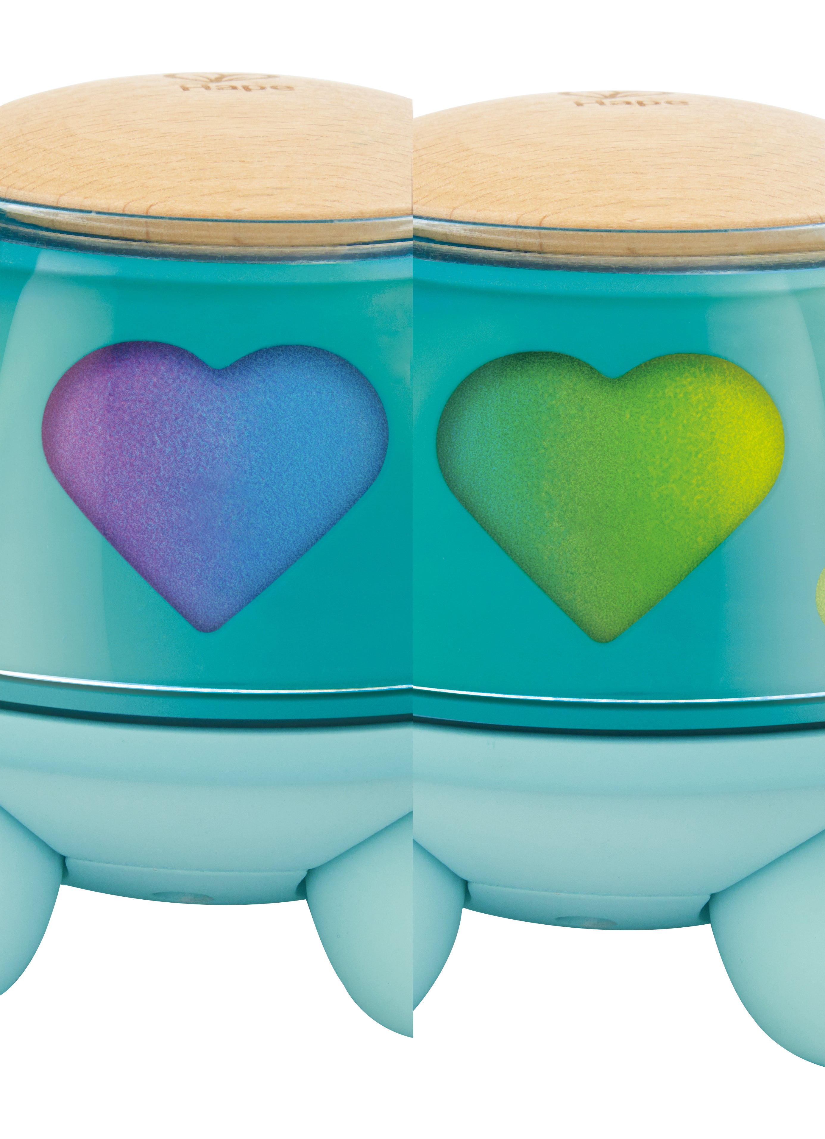 Hape Twist & Tune Musical Turtle – musikkskilpadde