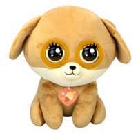 Winksies, kosete valp