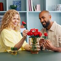 LEGO Botanicals 10328, Bukett med roser