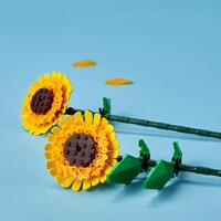 LEGO Botanicals 40524, Solsikker