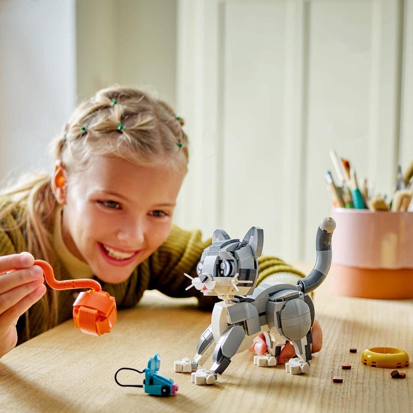 LEGO Creator 31163, Lekfull katt