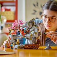 LEGO NINJAGO 71819, Drakkestens tempelet