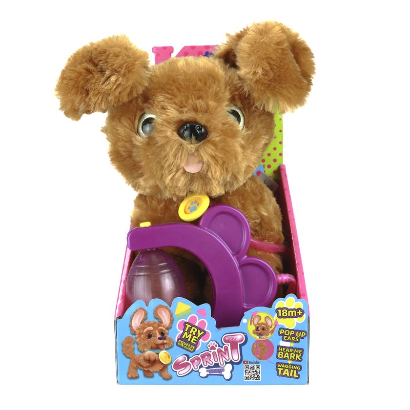Sprint - Golden Doodle