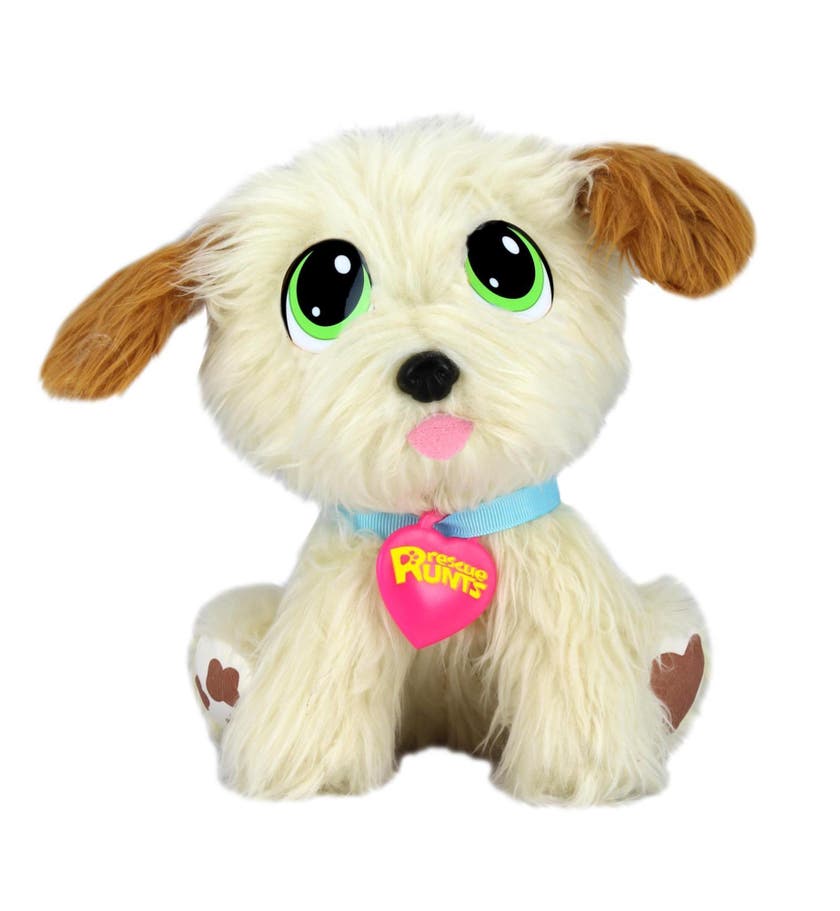 Rescue Runts, Golden Retriever