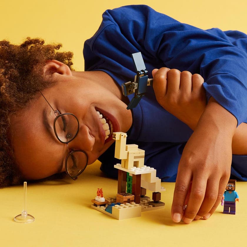 LEGO Minecraft 21251, Steves ørkenekspedisjon