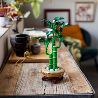 LEGO Botanicals 10344, Bambusdracaena