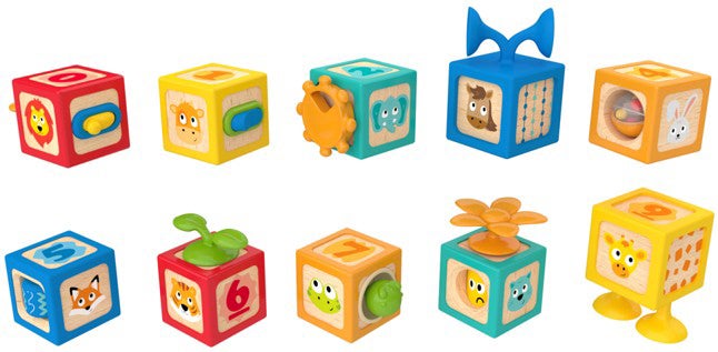 Hape Delightful Discovery Blocks