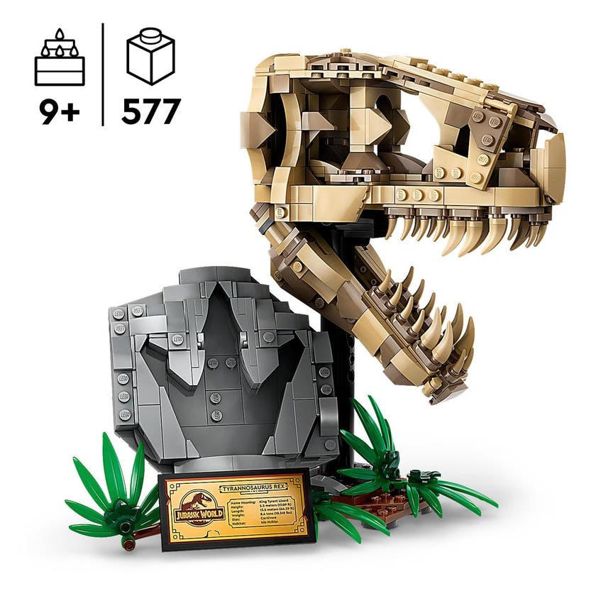 LEGO Jurassic World 76964, Dinosaurfossiler: T. rex-skalle