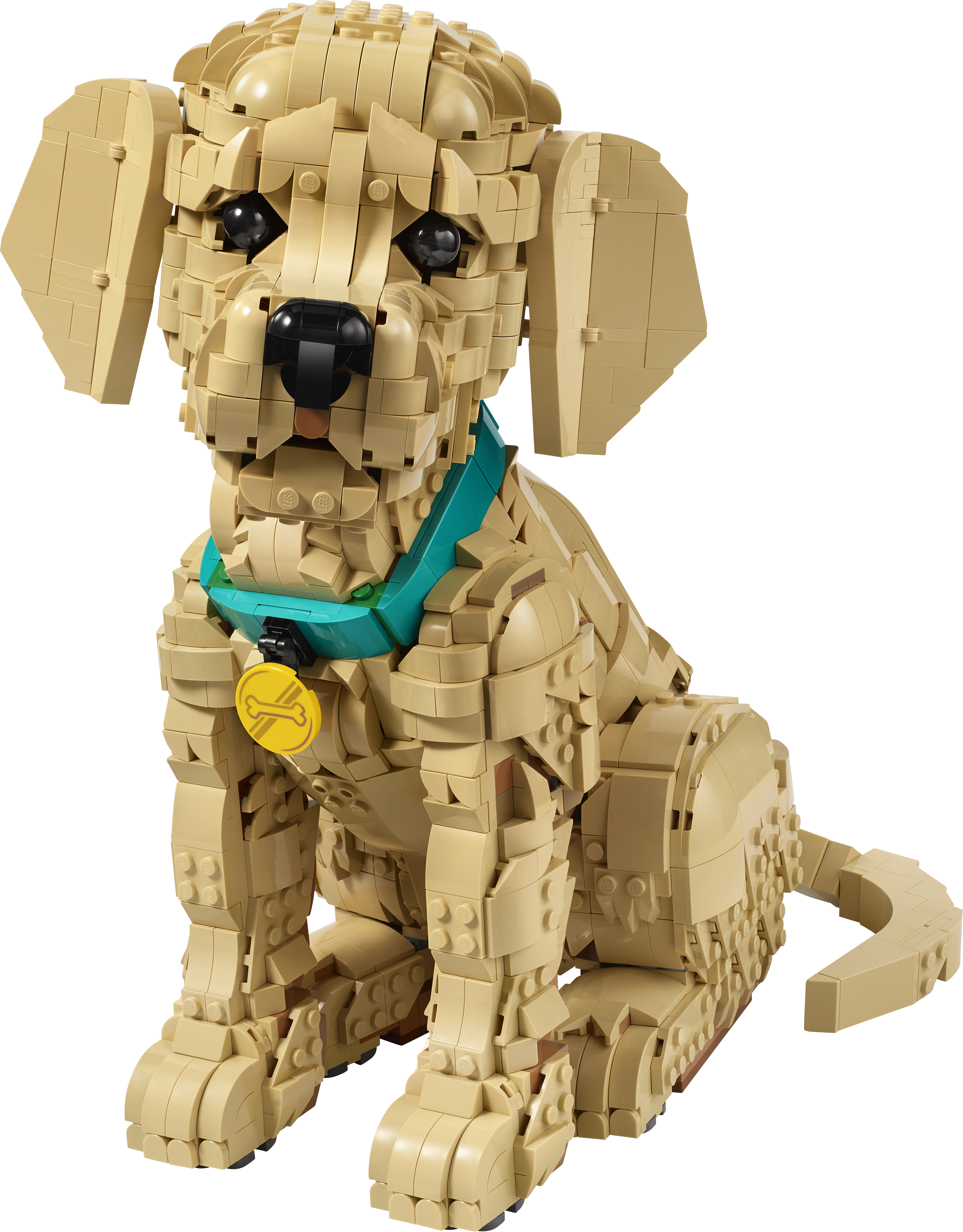 LEGO® Icons Golden retriever-valp, dyrefigur 11384